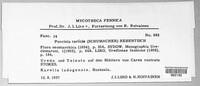 Puccinia caricis image